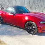 toro-detailing-batuco-detailing.webp
